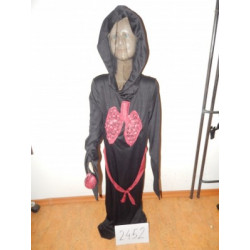 č. 2452    duch kuřáka    hall