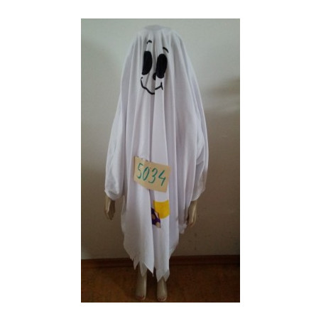č. 5034  duch