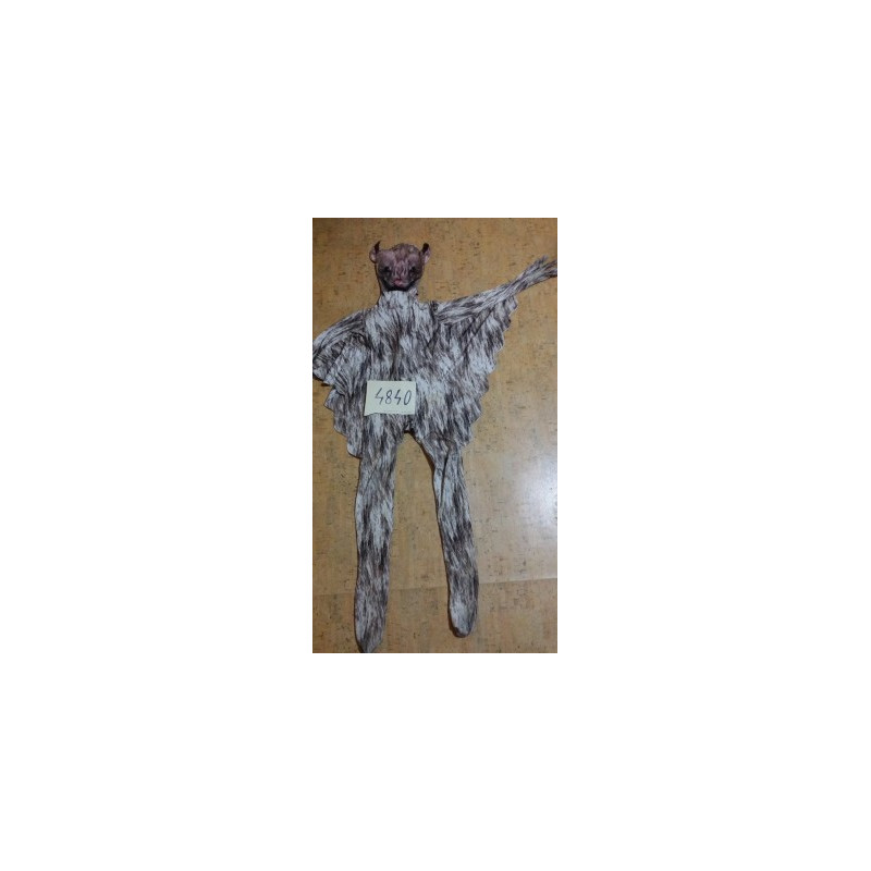 č.4840              *** 