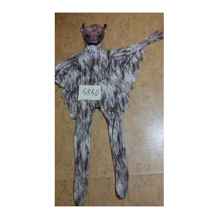 č.4840              *** 