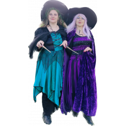 noční motýl, čarodějnice č. 2295