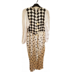 pierot, klaun č.5239