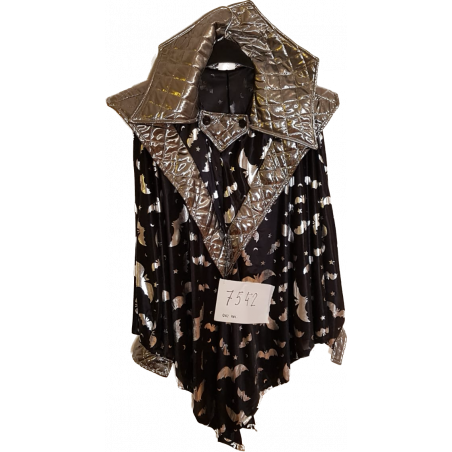 čarodějnice, netopýr č: 7542