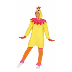 Kuře, slepice, drůbež