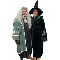 McGonagallová - Harry Potter